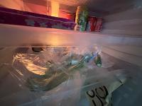 refrigerator project thumbnail