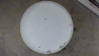 fish project thumbnail