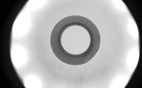 sk project thumbnail