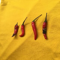 test-rename-dataset Object Detection Dataset by chakorn viriya