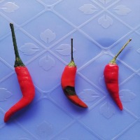 test-rename-dataset Object Detection Dataset by chakorn viriya
