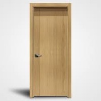 door project thumbnail