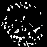 CroppedThinV project thumbnail