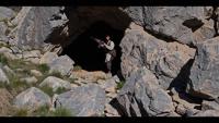 Dusman_Tespiti-2 project thumbnail