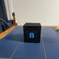 Dataset Image