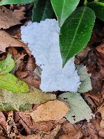 Litter Detection Dataset project thumbnail