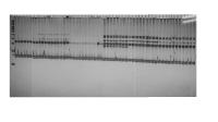 gell_app_analysis project thumbnail