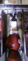 pemilah buah project thumbnail