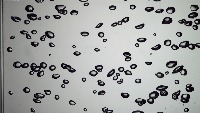 bubbly 2 project thumbnail