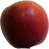 fruit_detection project thumbnail