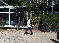 Pedestrian Labeling project thumbnail