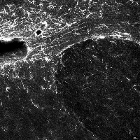 Kruyer_train4 project thumbnail