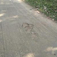 Alligator Crack Cracks Manhole Pothole project thumbnail