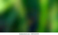 plantfoilageblur project thumbnail
