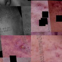 Updated-Dataset project thumbnail
