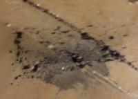 Hollow_Section project thumbnail