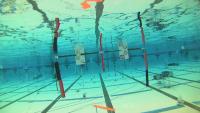 robosub-gate-final project thumbnail