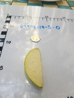 Rambutan project thumbnail