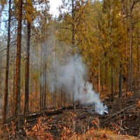smoke, fire, smoking behavior project thumbnail