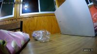 My First Project project thumbnail
