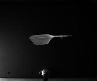 feather_box project thumbnail