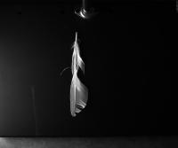 feather project thumbnail