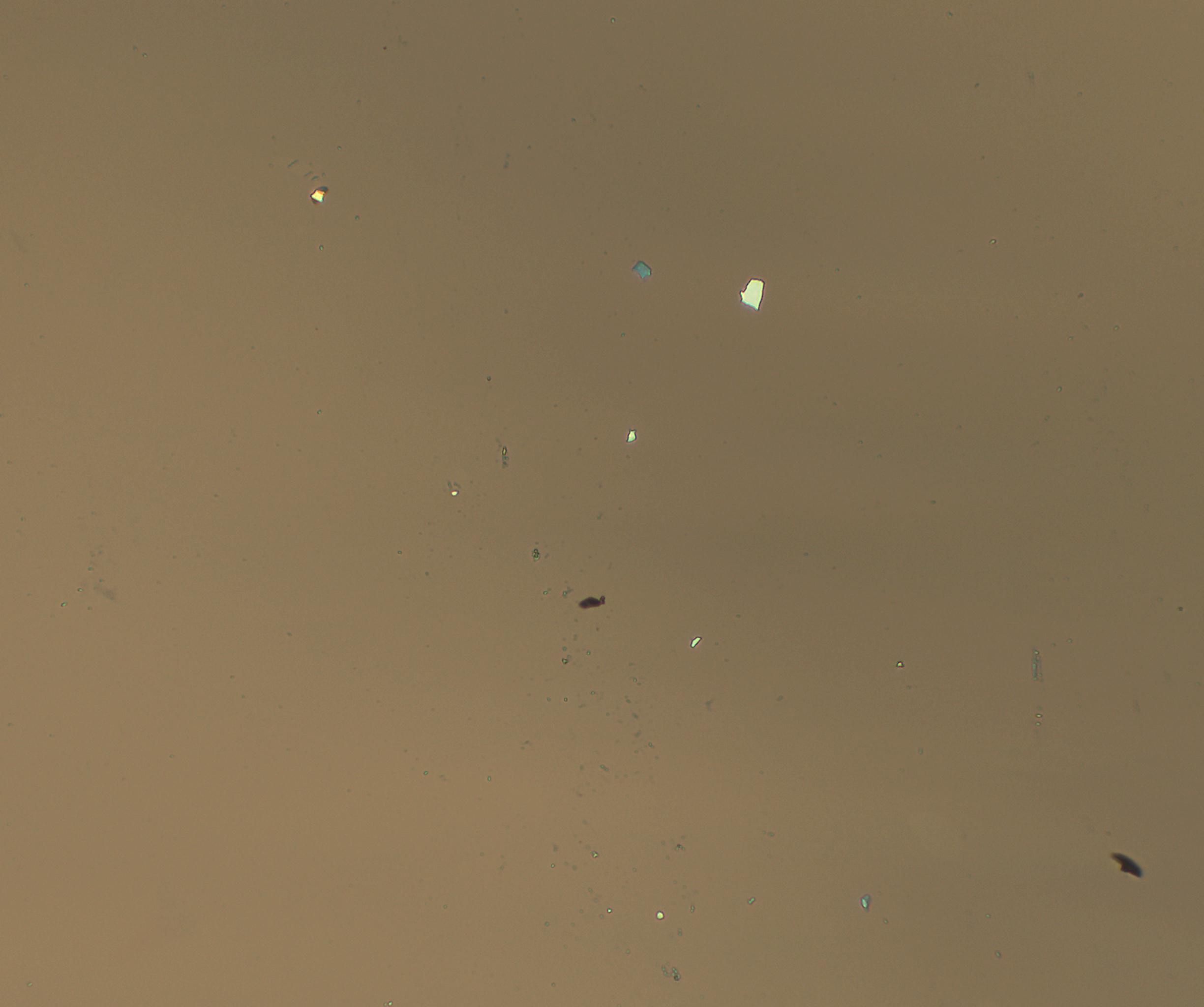 test1 Object Detection Dataset by hBNtest
