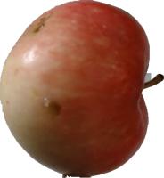 fruits_detection project thumbnail