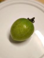 tomato project thumbnail
