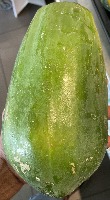 indoor-papaya-classifier project thumbnail