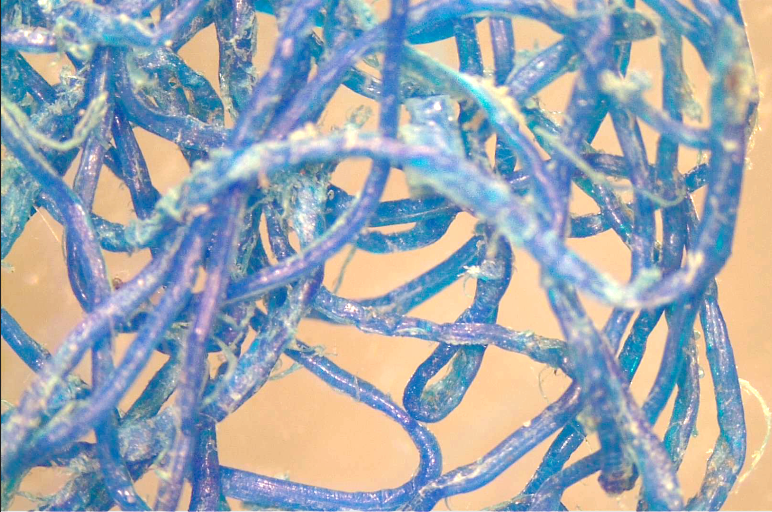 Microplastics Object Detection Dataset by Harsimran Kaur