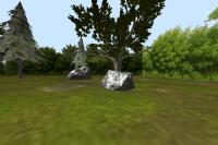 Tree Object Detection project thumbnail