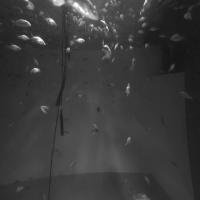 blue planet project thumbnail