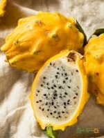 dragon fruit project thumbnail