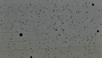 cell project thumbnail
