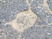 pothole-duplicate2-orginal-file-2 project thumbnail