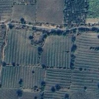 Plantations project thumbnail