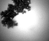 Agglomerat project thumbnail