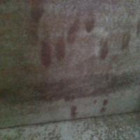Faridabad Project project thumbnail