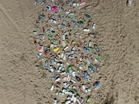 Waste Identification - Practice project thumbnail
