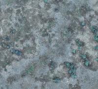 Marshes drone classification trial project thumbnail