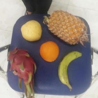 Dataset Image