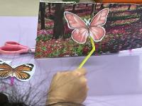 Butterfly Detect project thumbnail