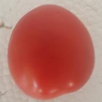 tomato project thumbnail