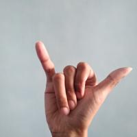 Indonesian Sign Language System project thumbnail