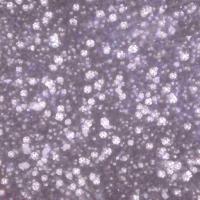 kseb-project project thumbnail