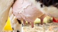 matitis project thumbnail