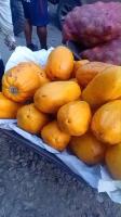 Papaya Madura project thumbnail