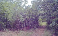 Terrain project thumbnail