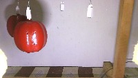 tomato project thumbnail
